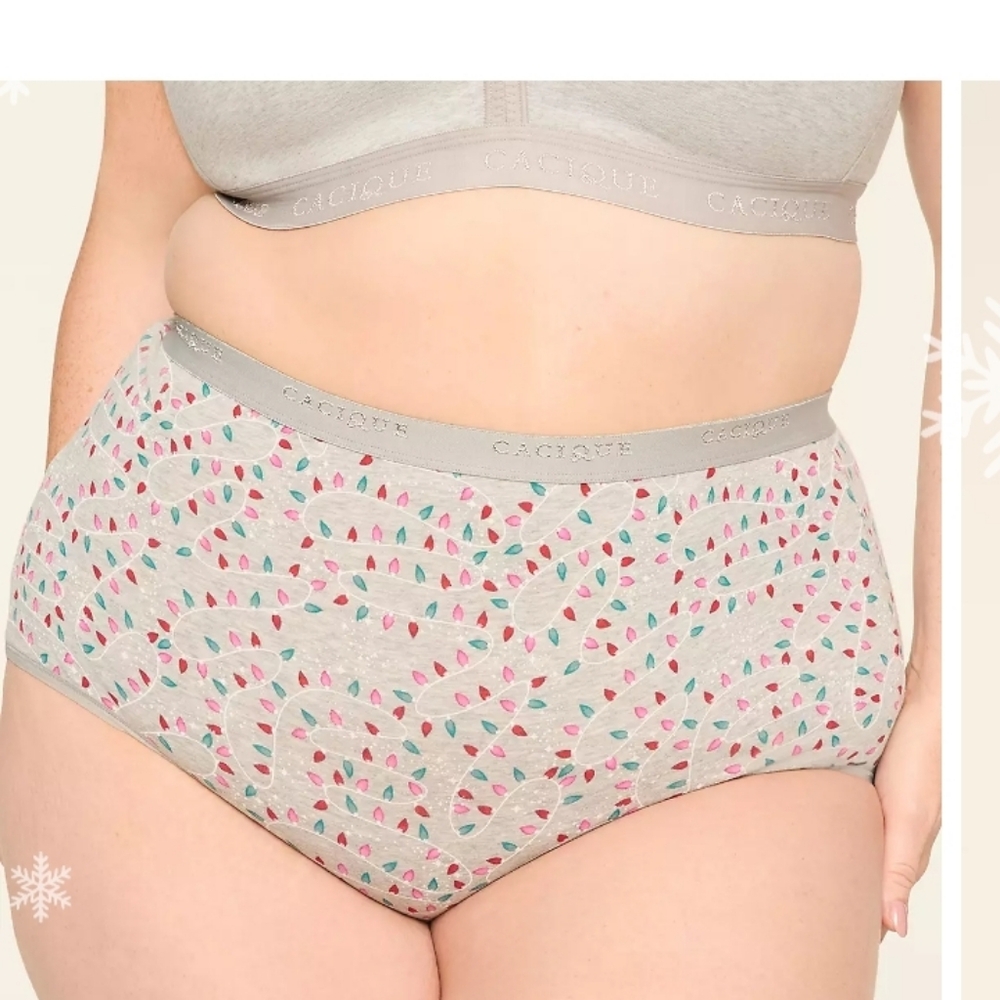 Cacique 26/28 Cotton High Waist Brief